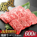 【ふるさと納税】MA-12 4等級以上 飛騨牛ロース焼肉用 約600g分 アウトドア BBQ（バーベキュー） 記念日などのギフトや贈答に 炭火 一頭買い 熟成 岐阜市/富士屋精肉店[ANCN006]