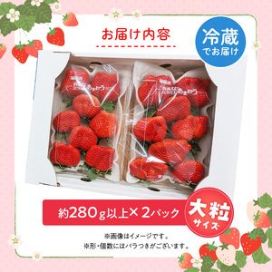 福岡県産あまおういちご　約280g以上×2パック（大粒）【3月～4月発送】 _ いちご あまおう 大粒 2パック 宇佐川農園 果物 フルーツ みずみずしい ジューシー 甘味 酸味 濃厚 ストロベリー 