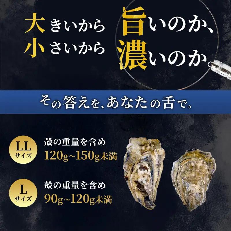 厚岸産 ブランド 殻付カキ マルえもん 生食用 サイズ食べ比べ 24個 (LL・L各12個)[ 魚貝類 生牡蠣 かき 牡蠣 カキ 生ガキ 食べ比べ ]