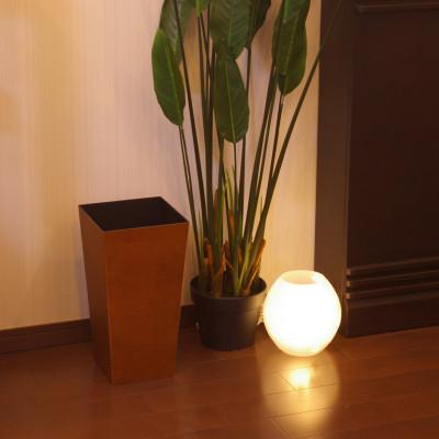 ふるさと納税 和歌山市 ユーロスタイルBOX L角 チーク 9.5L 場所を取らないスリムな木目調ゴミ箱 |  | 01