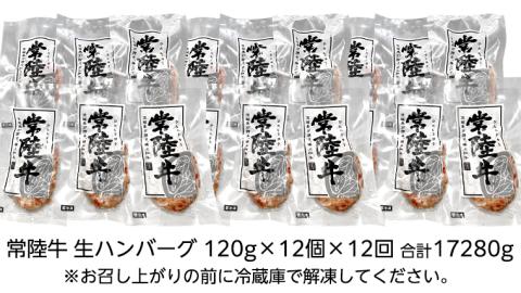 【12ヶ月定期便】 黒毛和牛 常陸牛 100% 特製 プレミアム 生ハンバーグ 120g×12個入り 合計1,440g 八千代町産 白菜 使用 無添加 無着色 保存料不使用 冷凍 [AU059ya]