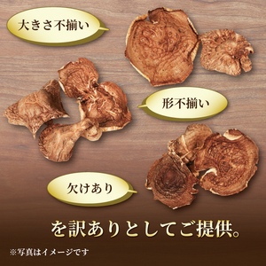 【予約】 訳あり 原木乾しいたけ 200g(100g×2) 椎茸 しいたけ