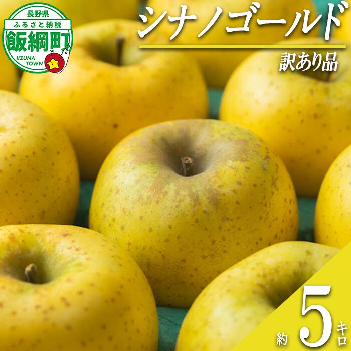 【ふるさと納税】 りんご シナノゴールド 5kg 訳あり ふるさと振興公社 沖縄県への配送不可 〔 果物 フルーツ 林檎 長野 予約 不揃い 規格外 5キロ 18000円 〕【令和7年度収穫分】 発送：2025年11月上旬〜