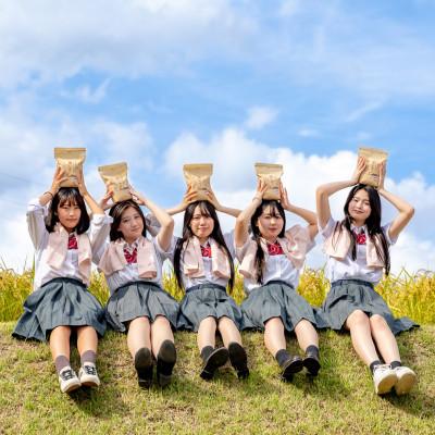 ふるさと納税 十日町市 【毎月定期便】女子高生コラボ特栽魚沼コシ包装米飯10個とかぐらなんばん・ホッポロ漬各100g全12回 |  | 02
