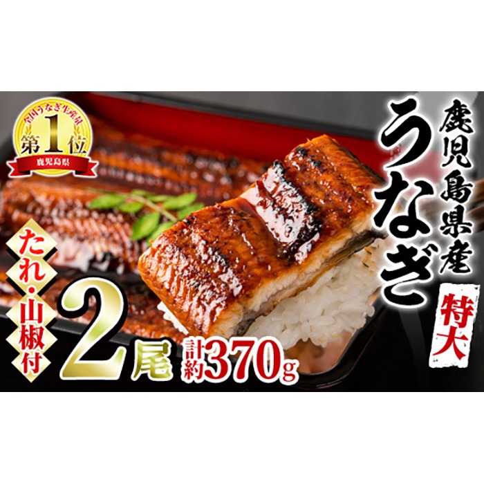 【0154302a】＜特大＞うなぎ蒲焼き(無頭)(2尾・計約370g・タレ、山椒付)うなぎ 高級 ウナギ 鰻 国産 蒲焼 蒲焼き たれ 鹿児島 ふるさと 人気【アクアおおすみ】