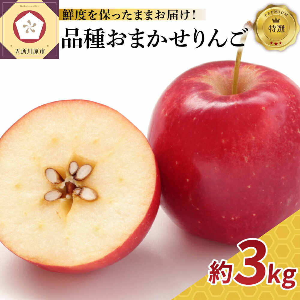 【ふるさと納税】特撰 りんご 約 3kg 品種おまかせ （ ふじ 又は サンふじ ） 【発送時期が選べる】 丸かじりサイズ 青森 【 スマートフレッシュ 貯蔵 または CA貯蔵 】特選 青森県 津軽地方 五所川原市 産 林檎 人気 果物 フルーツ クール便 リンゴ 林檎 贈答
