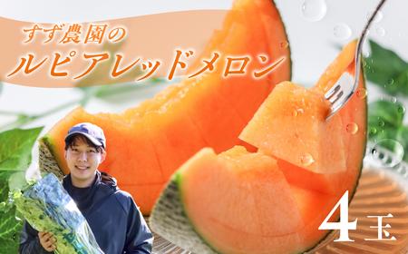【先行予約】ルピアレッドメロン 4玉 メロン すず農園