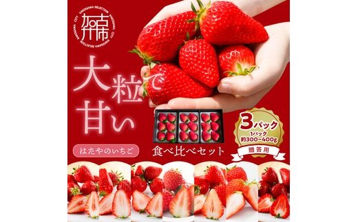 贈答用いちご 3品種食べ比べセット(3パック入)《 いちご 苺 イチゴ フルーツ 果物 国産 フルーツ工房はたや あまえくぼ 章姫 あまクイーン ロイヤルクイーン ぽりっちご あまおとめ 堅しろう 》【2502C09701】