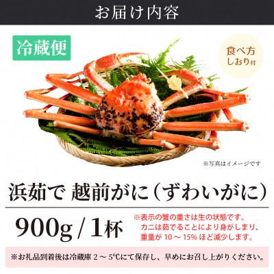 ふるさと納税 越前町 ≪浜茹で≫ 越前がに 中サイズ × 1杯【12月発送分】 |  | 03