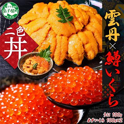 ふるさと納税 弟子屈町 雲丹 100g 鱒いくら 100g×2個  うに チリ産 ます いくら 北海道 弟子屈町 3619