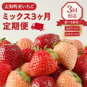 【ふるさと納税】【内容量選べる】玄海町産いちご ミックス定期便 【2月〜4月 計3回配送】／ 食べ比べ さがほのか 白いちご 白イチゴ 淡雪 黒いちご 黒イチゴ 真紅の美鈴 苺 いちご イチゴ 希少 品種 果物 くだもの フルーツ デザート 旬 定期便 毎月 予約受付 食べ比べ