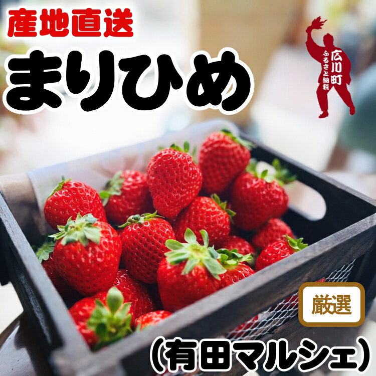 【ふるさと納税】 朝摘み 完熟 まりひめ いちご 600g 1200g 和歌山ブランド苺 / フルーツ 果物 くだもの 果実 和歌山 有田 ※2026年1月上旬～2026年3月下旬頃に順次発送 ※北海道、沖縄、離島配送不可 //hokaf