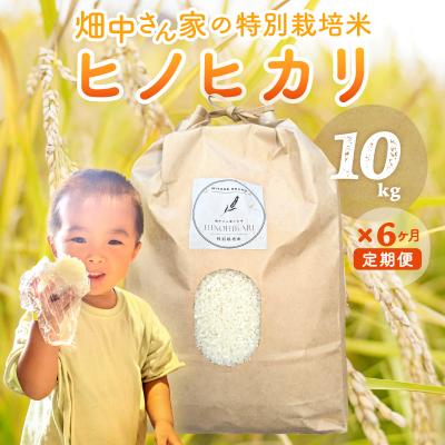 ふるさと納税 三宅町  【6回定期便】減農薬 特別栽培米 畑中さん ひのひかり 白米 10kg ヒノヒカリ 奈良県三宅町