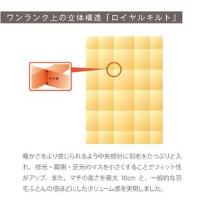 [春・秋用]究極に軽く、蒸れない羽毛ふとん (シングルロングサイズ)150×210cm(HVG)【1640440】