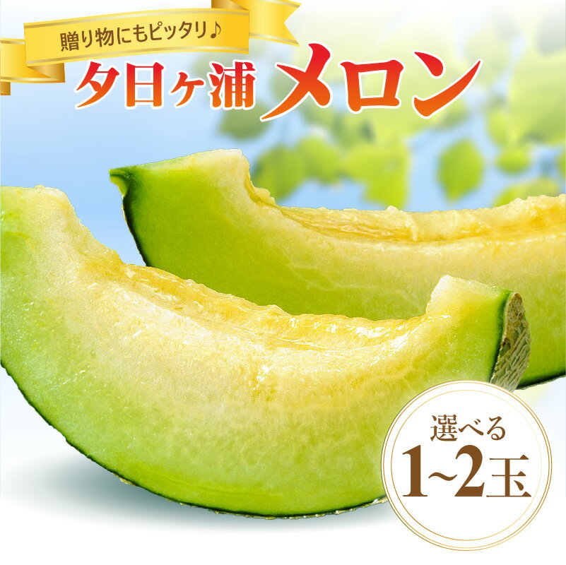 【ふるさと納税】残りわずか・JA京都／高評価★5.0 高レビュー★【先行予約／数量限定】夕日ヶ浦メロン 1玉 2玉（2025年7月中旬～発送）国産 高級メロン めろん 贈答品 贈り物 ふるさと 納税 メロン 青肉 ふるさと 納税 先行予約 ふるさと 納税 フルーツ くだもの 果物