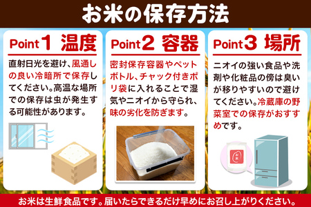 米 あきたこまち【白米】令和7年産 5kg 秋田県 大仙市産