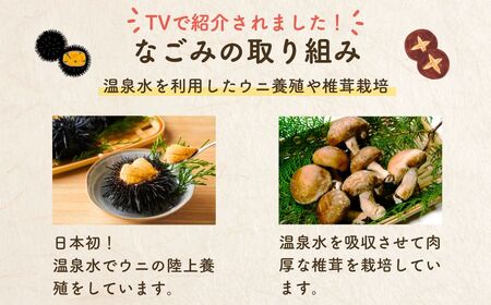 温浴施設なごみ 入館券 ５枚 | 温浴施設 温泉