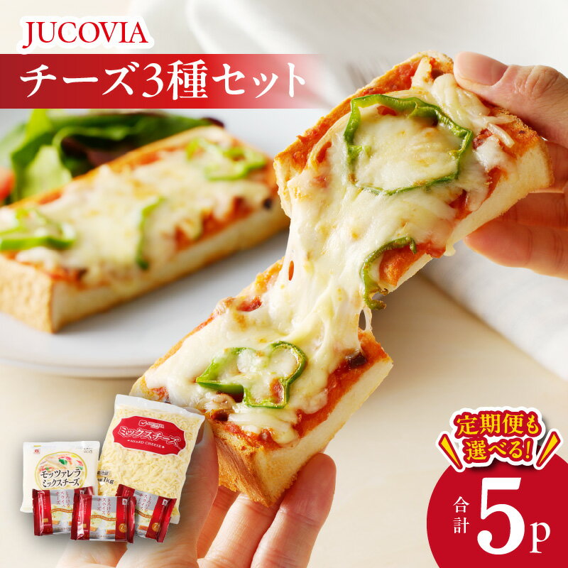 【ふるさと納税】【ムラカワチーズ】 人気チーズ 3種セット / 定期便 3種セット×3回 とろける チーズ モッツァレラ JUCOVIA ミックスチーズ のびる コク 味わい 旨み ピザ トースト 朝食 毎日食材 アローズ 大阪府 泉佐野市 送料無料
