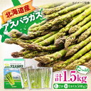 【ふるさと納税】【2025年6月以降順次発送】 グリーンアスパラガス 1.5kg　（Lサイズ500g×2袋・Mサイズ500g）《喜茂別町》【Aコープようてい】 アスパラ 野菜 北海道 春野菜 季節の野菜 先行予約 北海道 北海道 [AJAK003] 16000 16000円