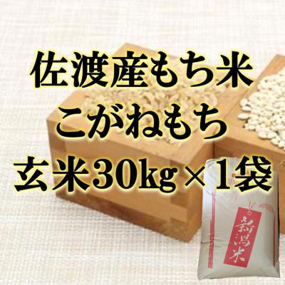 ふるさと納税 佐渡市 【令和7年産】佐渡産もち米 こがねもち 玄米30kg×1袋