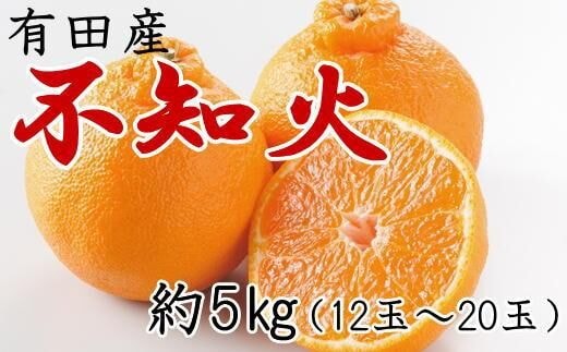 
										
										【濃厚】有田の不知火約5kg（12～20玉）★2025年2月上旬頃より順次発送
									