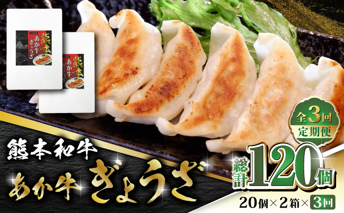 
【数量限定】【全3回定期便】熊本和牛 あか牛ぎょうざ 20個×2箱【有限会社 三協畜産】 あかうし 褐毛和種 冷凍 国産 餃子 ぎょうざ ギョウザ 熊本和牛 [ZEB060]

