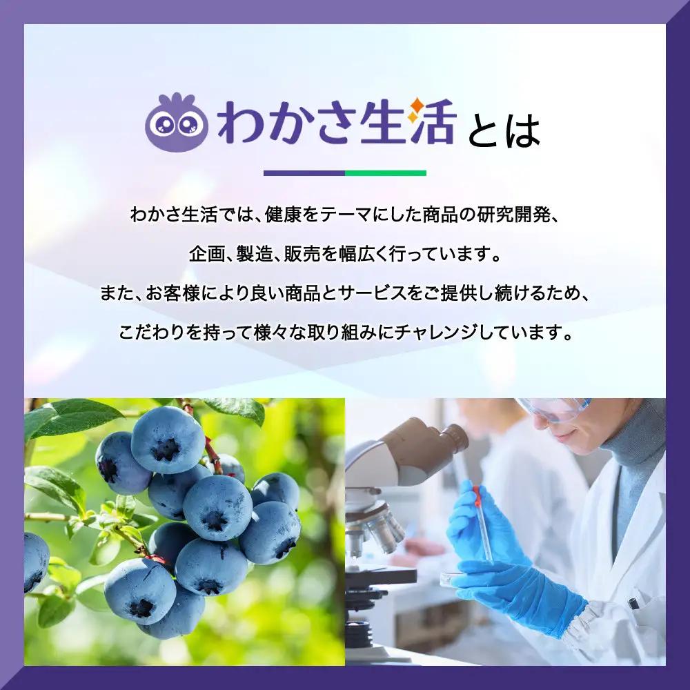 【わかさ生活】サンシャインメガネ（サングラス）＜ブラック＞｜高機能サングラス 人気 3つの有害光線をカット