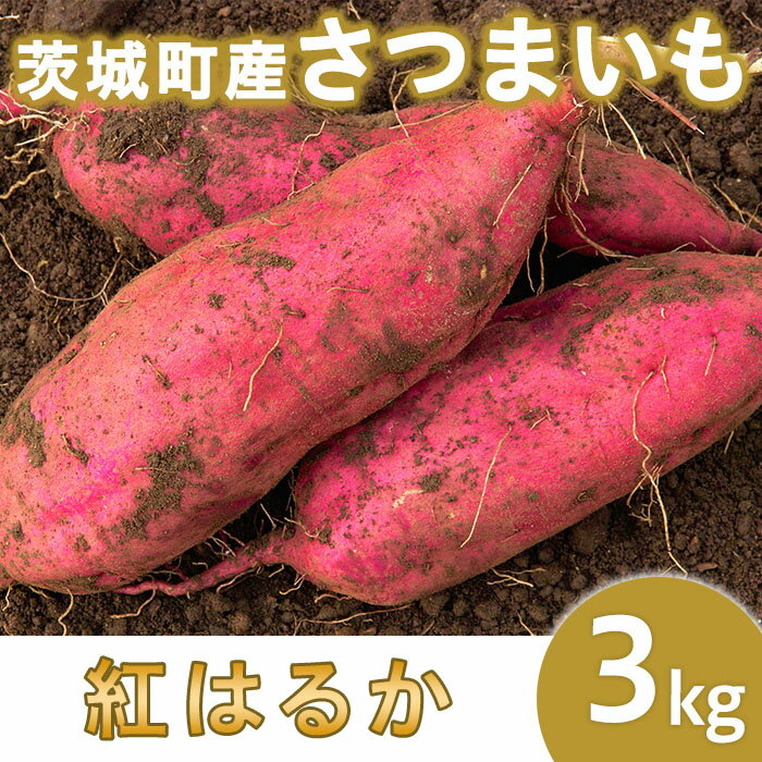 【ふるさと納税】さつまいも さつま芋 紅はるか 茨城 国産 間食 ダイエット 食物繊維 甘い 糖度 旬 234-1茨城町産紅はるか3kg（さつまいも）【2025年11月中旬頃より発送予定】