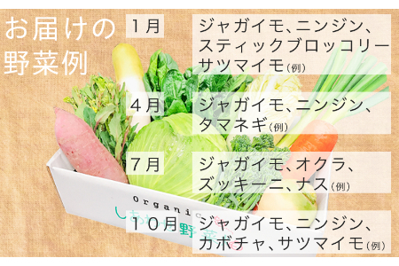 有機野菜でカレーを作ろう　カレーに使える有機野菜を3～4種類　定番野菜だからなんにでも使えます。 2142