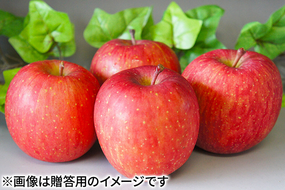 【27年1月発送】りんご サンふじ【訳あり】約10kg（28〜46玉程度）糖度13度以上 先行受付 青森県産 林檎 リンゴ 果物 くだもの フルーツ 青森県 弘前市 不揃い 規格外 [先行予約 産地直