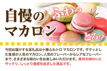 マカロン アソートタイプ 12個入り 欧風ケーキ工房 かねもり 《45日以内に出荷予定(土日祝除く)》｜本別マカロン　北海道マカロン　こだわりマカロン　マカロン　マカロン