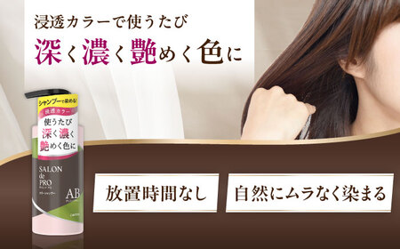 ダリヤ サロンドプロ カラーシャンプー 3個セット【アッシュブラウン】 / 稲沢市 / 日興商事株式会社 [BMBK004-03]