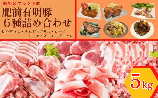 
            【セット】肥前有明豚 6種類のバラエティセット 計5kg(ヒレカツ・スペアリブ・切り落とし・ミンチ・ロースとんかつ・バラサムギョプサル)
          