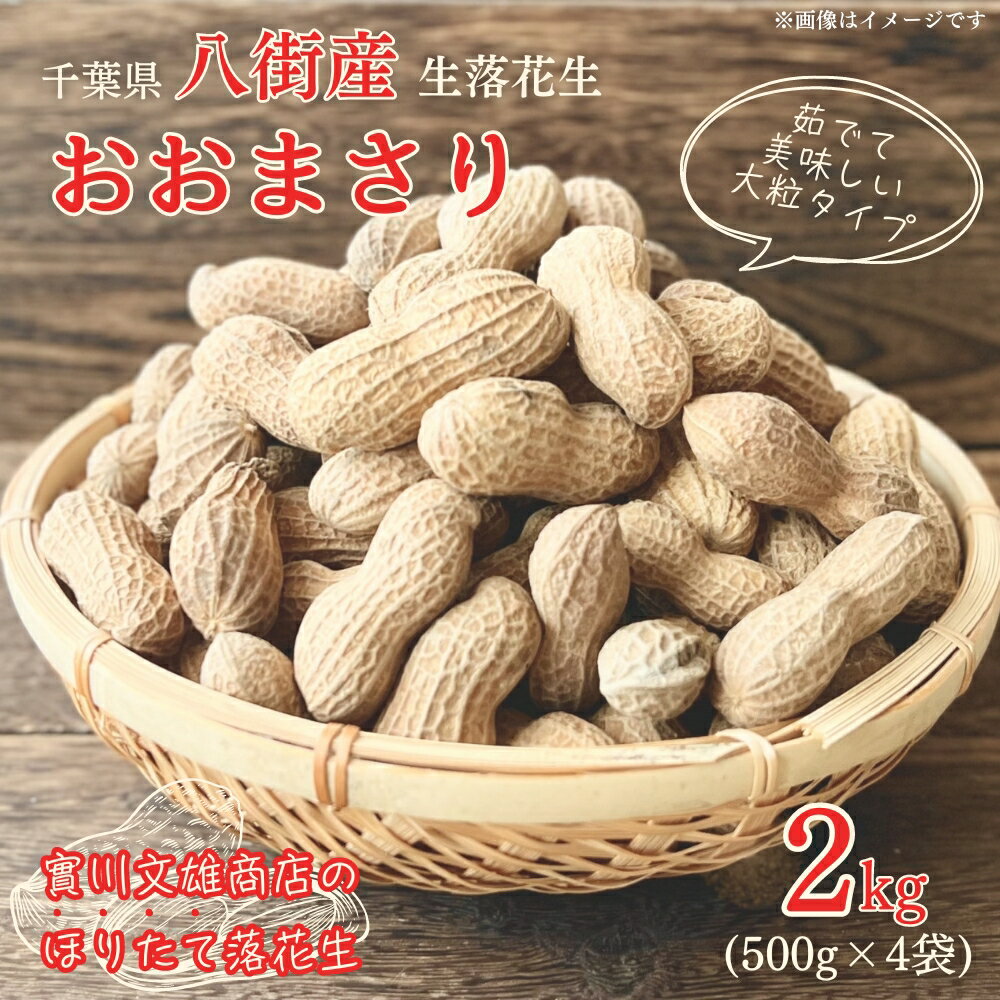【ふるさと納税】落花生 掘りたて 生落花生 「 おおまさり 」 2kg （500g×4）八街産落花生 落花生おおまさり 落花生千葉県 落花生生 新豆
