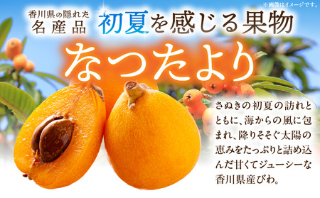 初夏を感じる果物　香川県産びわ（なつたより）　約1.0kg【香川県共通返礼品】_mk059-004