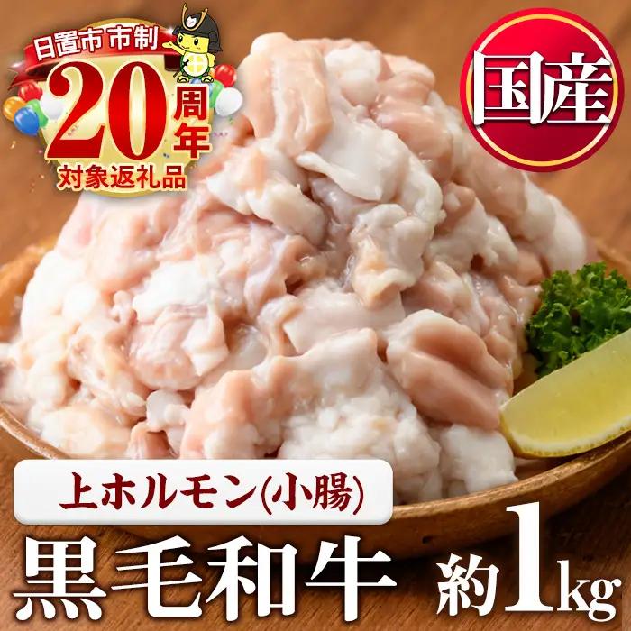 No.1001-02 黒毛和牛上ホルモン(計1kg)国産 九州産 牛肉 黒毛和牛 和牛 ホルモン 焼肉 鉄板焼き もつ鍋 冷凍 小分け【カミチク】
