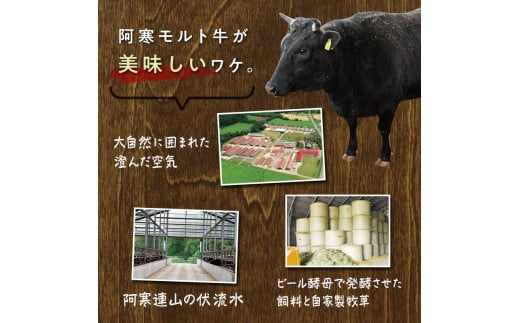 阿寒モルト牛ステーキ食べ比べセットＡ 牛 ステーキ サーロイン 釧路 肉 F4F-4176