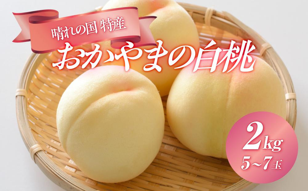 
桃 2025年 先行予約 晴れの国 特産 ！ おかやまの 白桃 2kg（5玉～7玉） もも モモ 岡山県産 国産 フルーツ 果物 ギフト
