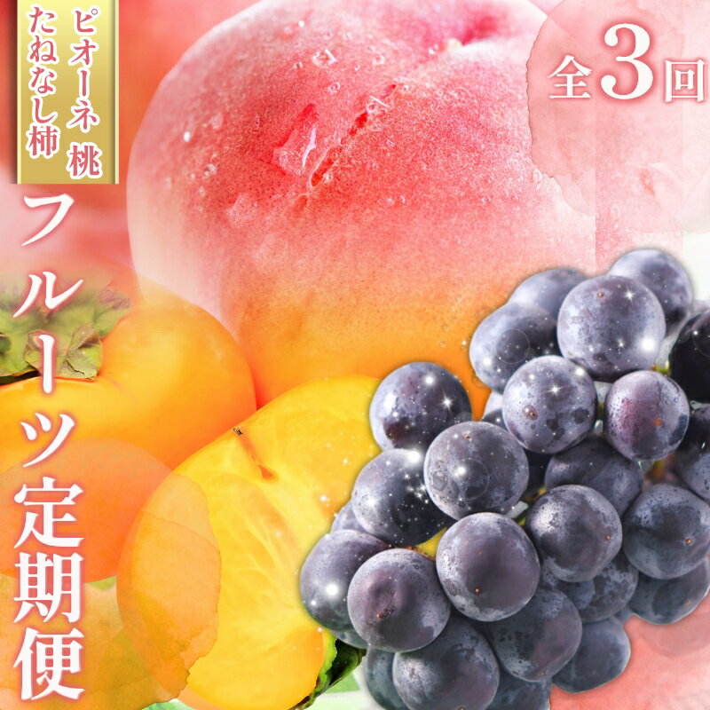 【ふるさと納税】 受付終了まで残り僅か！【全3回 】かつらぎ町産 フルーツ定期便（桃・ピオーネ・たねなし柿）フルーツ王国よりお届け♪ / もも ピオーネ ぶどう 種無し たねなし 柿 フルーツ 果物 定期便 セット 和歌山 旬 甘い 先行予約 2025