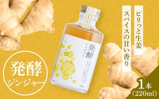 ピリっと生姜にスパイスの甘い香り！身体にも心にも優しい発酵ジンジャーシロップ！発酵ジンジャー（1本） 日田市/株式会社インパクト スパイス 炭酸 シロップ [ARDA008]