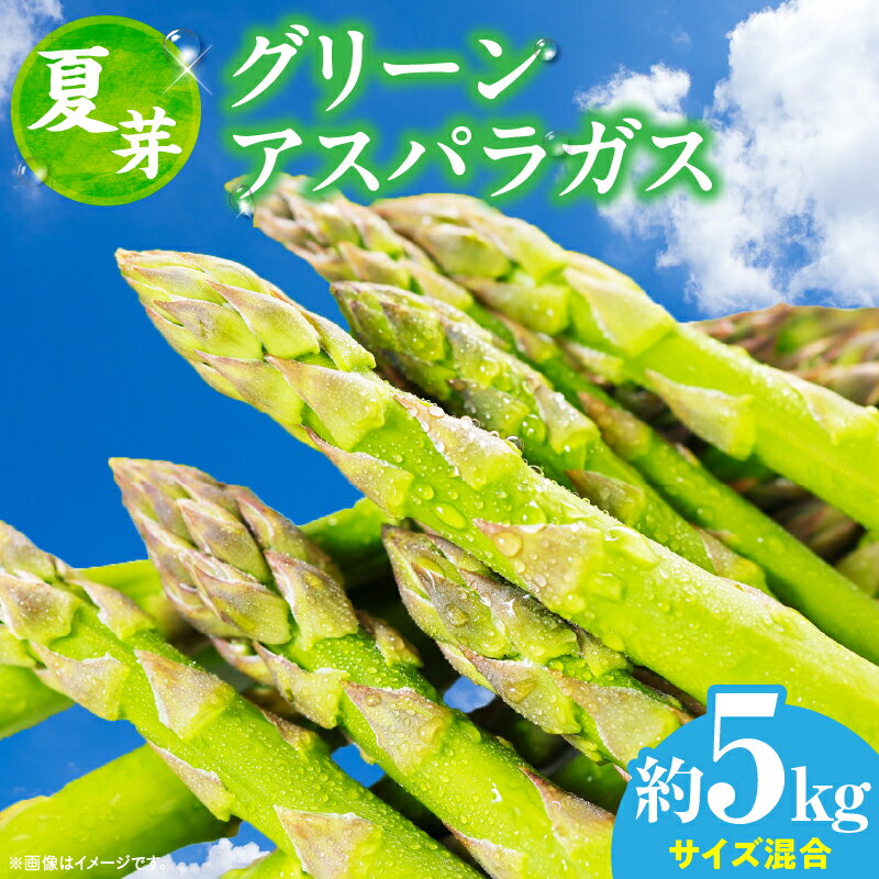 【ふるさと納税】【夏芽】グリーンアスパラガス　サイズ混合約5kg グリーンアスパラガス アスパラガス 夏芽 おすすめ 混合 シャキシャキ 野菜 冷蔵 新鮮 新鮮野菜 香川県 国産 三木町 おすすめ