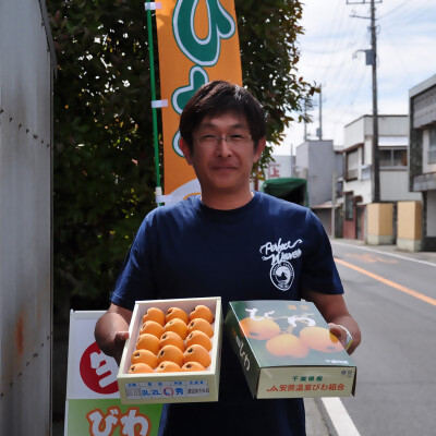 
                  【先行受付】5月下旬より順次発送　露地栽培「房州びわ」 2L・3Lサイズ合計12粒　化粧箱入り【1492169】
                