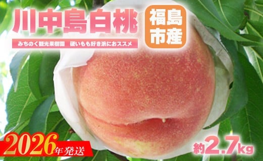 
            No.2348もも「川中島白桃」贈答用　約2.7kg【2026年発送　先行予約】
          