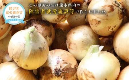 こだわり サラダ玉ねぎ 約8kg タマネギ たまねぎ 玉ねぎ 玉葱 常温 九州 熊本県産 【2027年4月下旬発送開始】