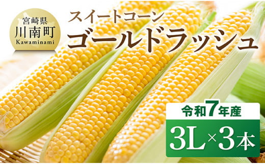 【令和7年発送】宮崎県産とうもろこし　スイートコーン「ゴールドラッシュ」3L×3本【新鮮 農家直送 トウモロコシ 産地直送 季節限定 期間限定 宮崎県産 九州産】