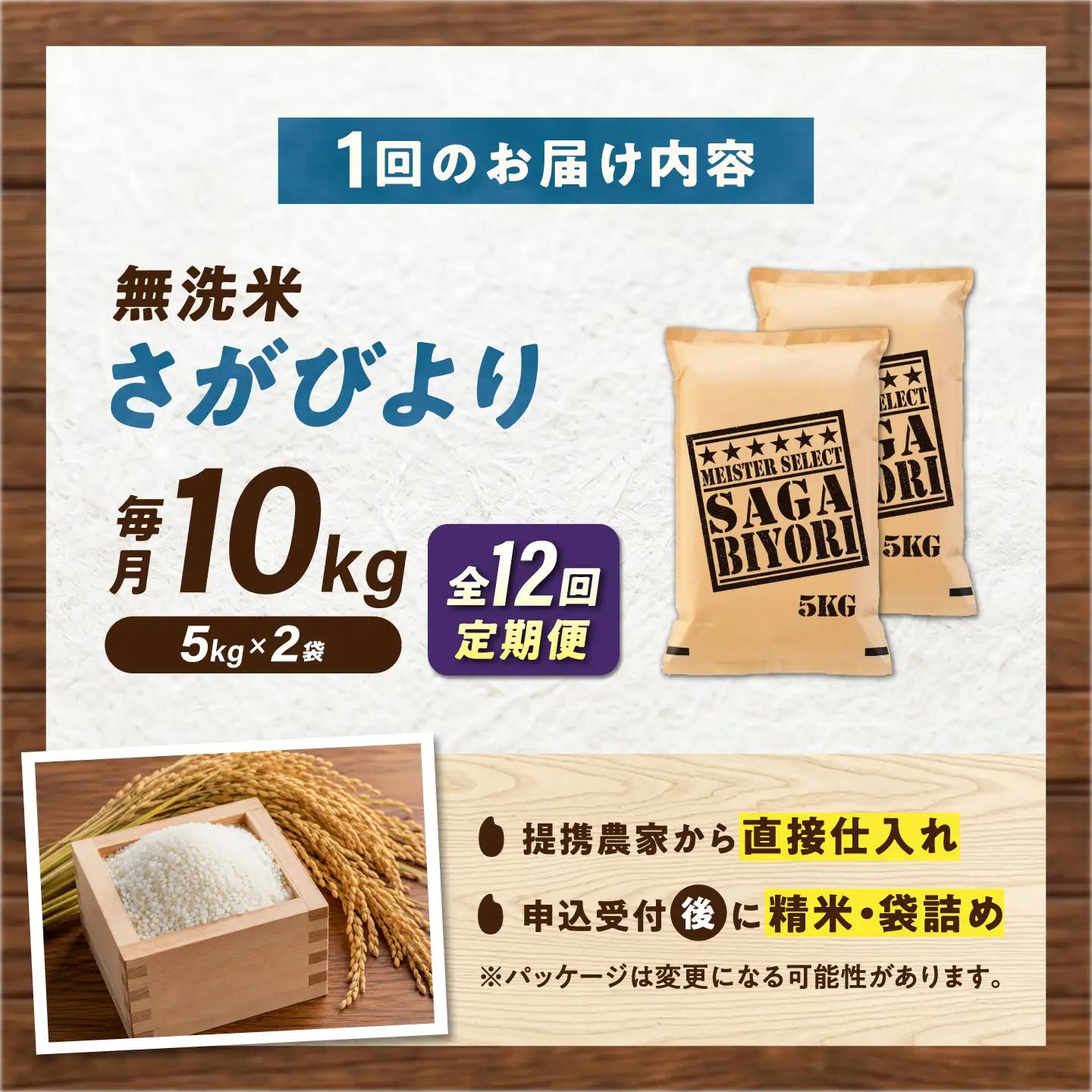 【12回定期便】 無洗米 さがびより 10kg（5kg×2袋） 無洗米 お米 白米 精米 佐賀県産 米 /大塚米穀店[UFE008]