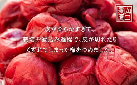 完熟南高梅使用 くずれ梅 しそ熊野梅干 2kg 塩分10％ 訳あり まろやか仕立て