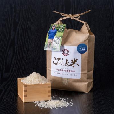 ふるさと納税 北杜市 冷めても美味しい!【令和8年産】こぴっと米【五百川】白米・2kg　特別栽培米