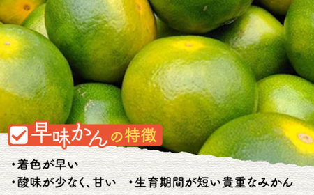 【9月中旬より発送】先行予約 福岡産ブランドみかん 早味かん 約2kg＜南国フルーツ株式会社＞那珂川市 みかん オレンジ ブランド フルーツ 果物 九州産 国産 [GCD023]12000 12000