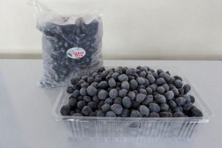 ハスカップ 1kg 美瑛産冷凍 ハスカップ  [019-63]